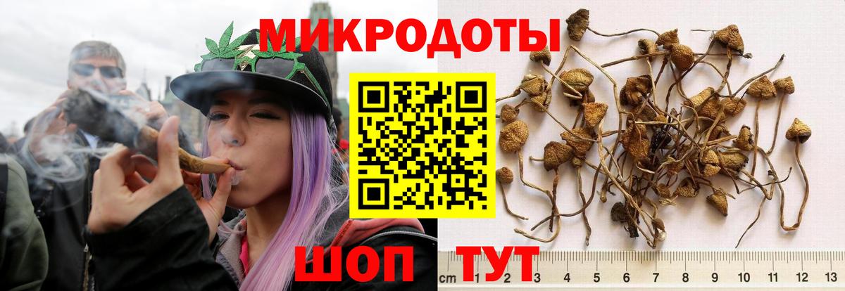 закладки  Псилоцибиновые грибы MAGIC MUSHROOMS  Вход с VPN  Псилоцибиновые грибы Magic Shrooms  Реутов 